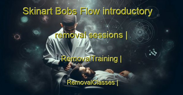 Skinart Bobs Flow introductory removal sessions | RemovalTraining | RemovalClasses | SkinartTraining-United States